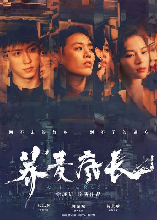 定制高仿卫尔斯利学院文凭毕业证